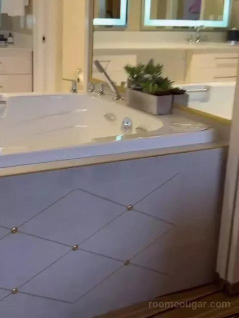 1 Bedroom Villa bathroom picture #1