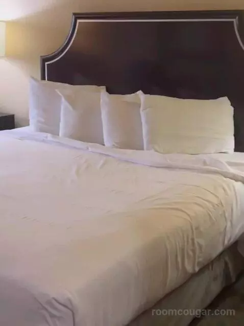 West Classic Room 1 King bed picture #1