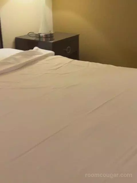 West Classic Room 1 King bed picture #5