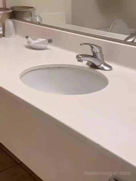 West Classic Room 1 King bathroom picture #4