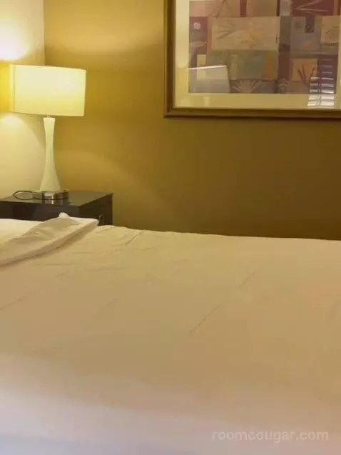 West Classic Room 1 King bed picture #2