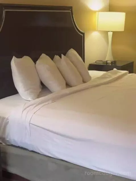 West Classic Room 1 King bed picture #3