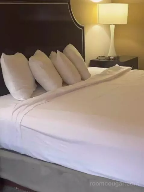 West Classic Room 1 King bed picture #4