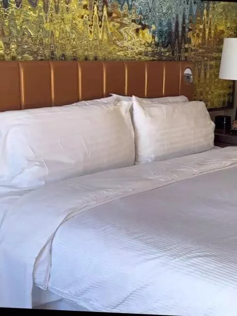 Deluxe King - View, Guest Room, 1 King, City View (#828) bed picture #1