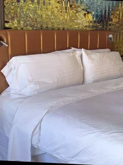 Deluxe King - View, Guest Room, 1 King, City View (#828) bed picture #3