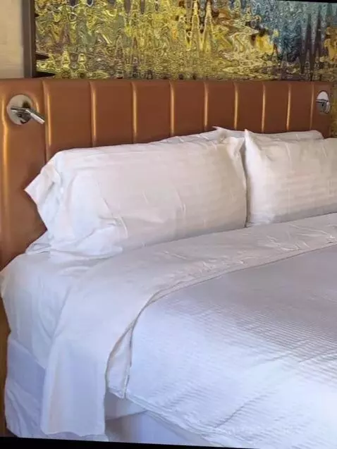 Deluxe King - View, Guest Room, 1 King, City View (#828) bed picture #4