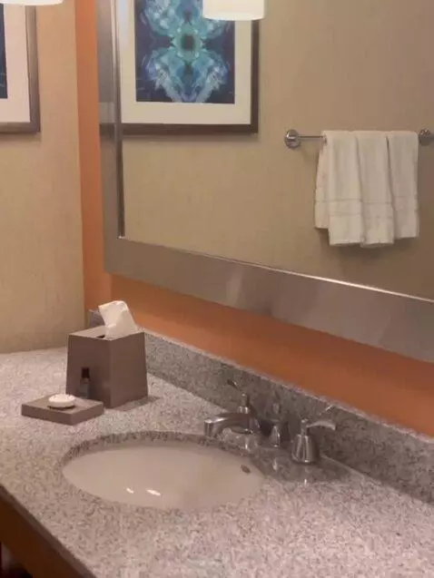 Deluxe King - View, Guest Room, 1 King, City View (#828) bathroom picture #3