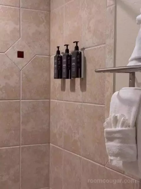 Two-Bedroom Villa with King/Double Beds, Sofa Bed and Balcony (#1330) bathroom picture #1