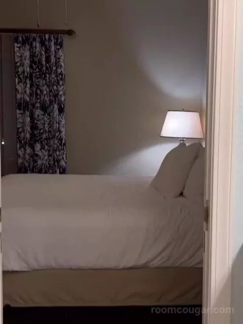 Two-Bedroom Villa bed picture #7