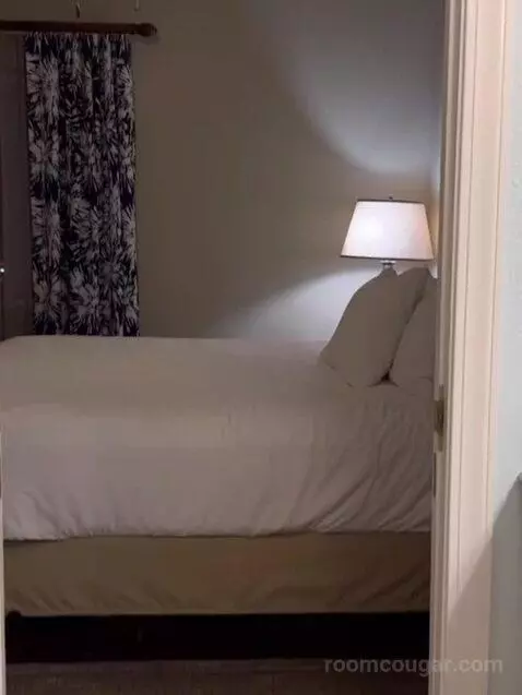 Two-Bedroom Villa bed picture #9
