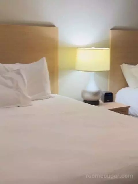 Two-Bedroom Villa bed picture #10
