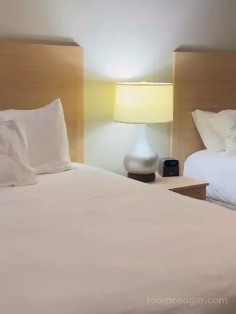 Two-Bedroom Villa bed picture #11