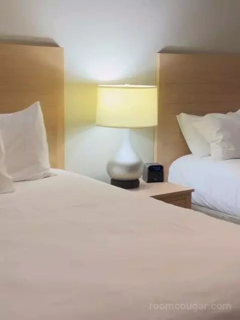 Two-Bedroom Villa bed picture #12