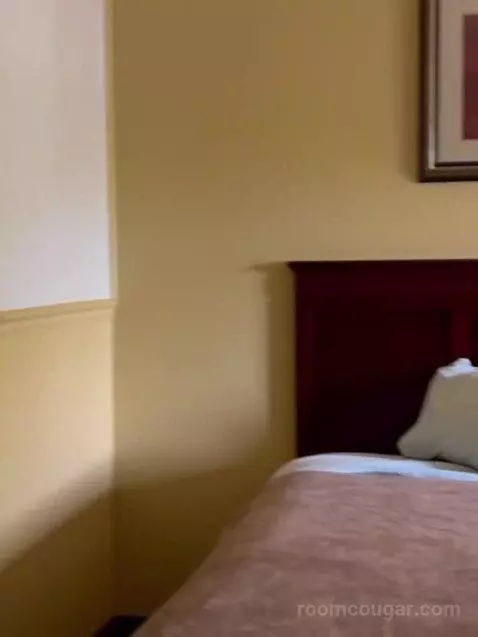 Suite bed picture #3