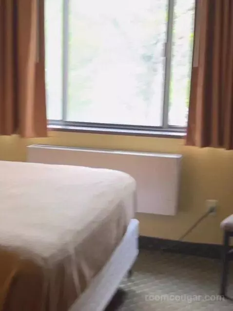 Suite bed picture #5
