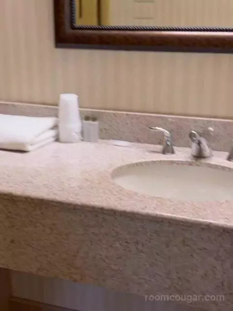 Suite bathroom picture #12
