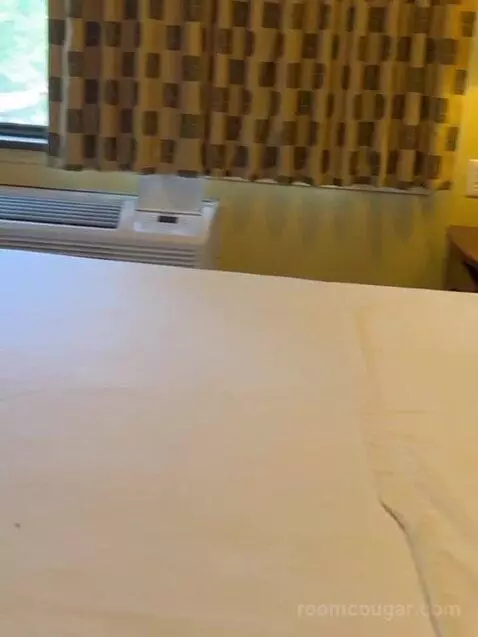 Suite bed picture #11