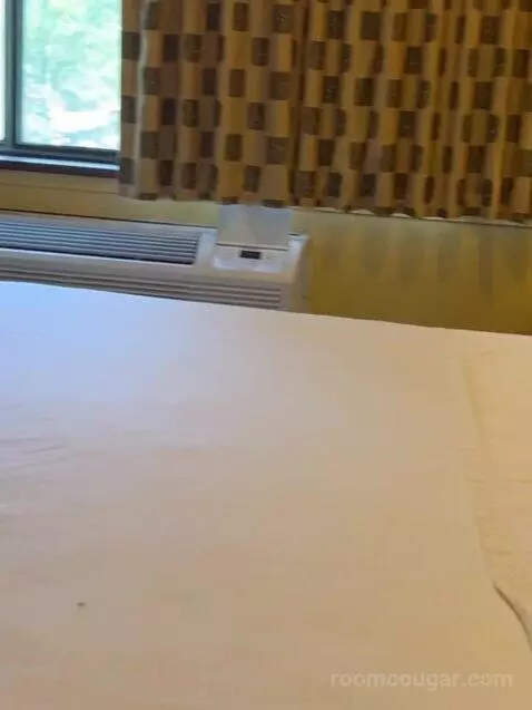 Suite bed picture #12