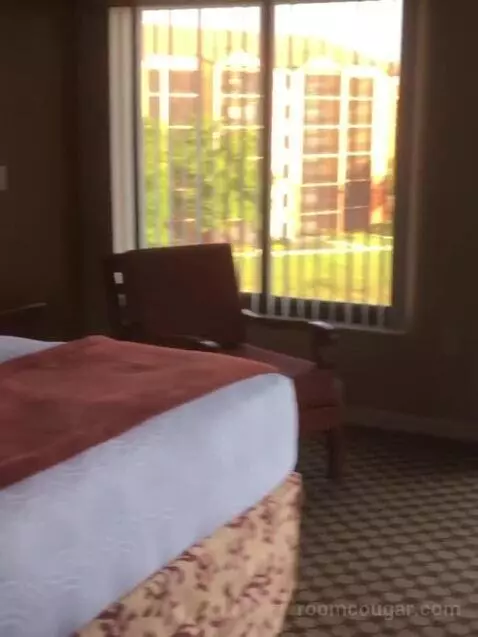 3 Bedroom Villa bed picture #11