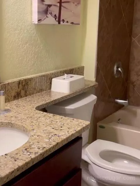 Two-Bedroom Suite with Roll-In Shower - Accessible (#20307) bathroom picture #3