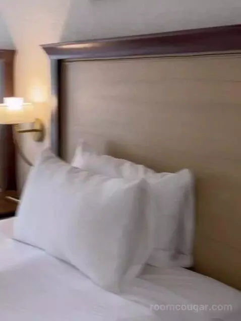 2 Bedroom Villa (V11) bed picture #1