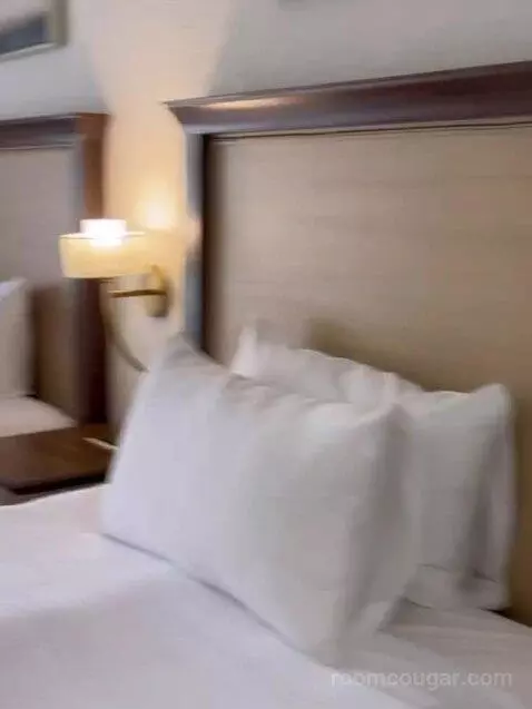 2 Bedroom Villa (V11) bed picture #2