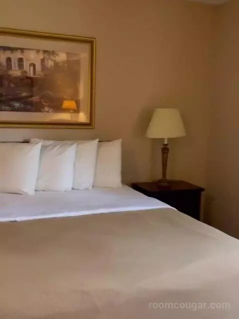 Suite bed picture #1