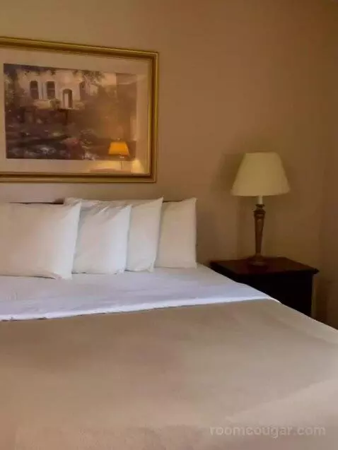 Suite bed picture #2
