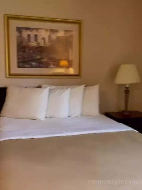 Suite bed picture #3