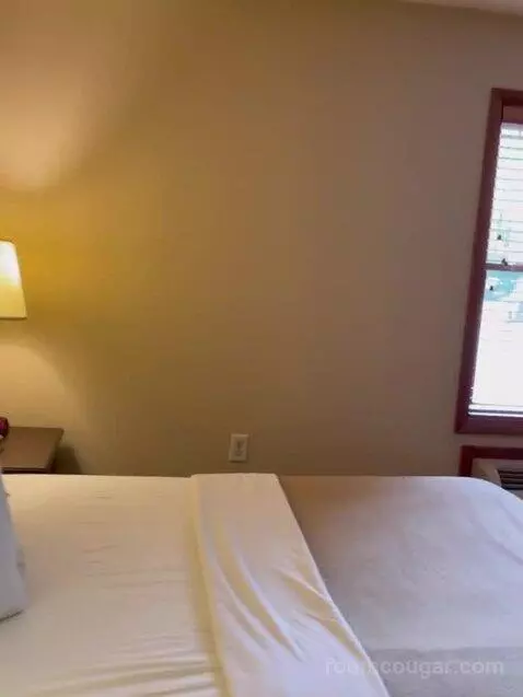 Suite bed picture #11