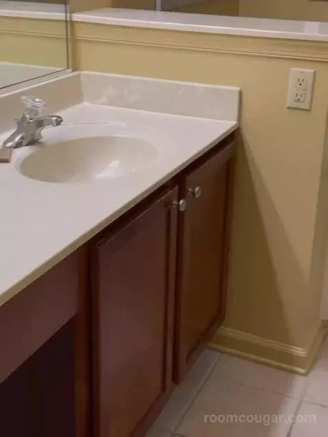 Deluxe Two-Bedroom Suite bathroom picture #1