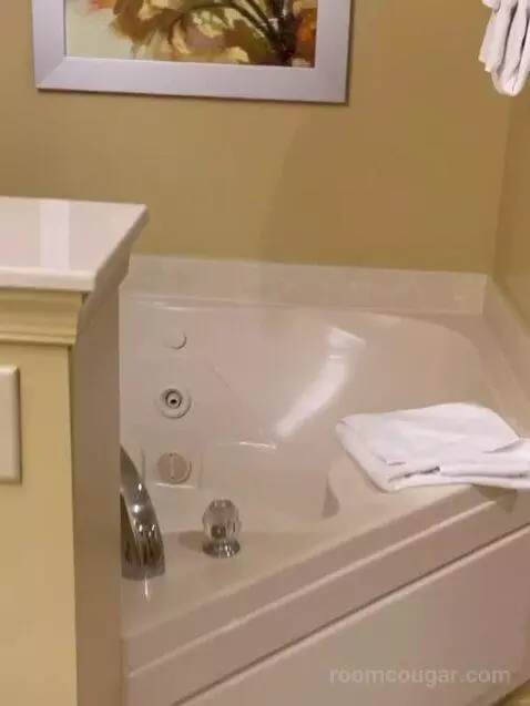 Deluxe Two-Bedroom Suite bathroom picture #2