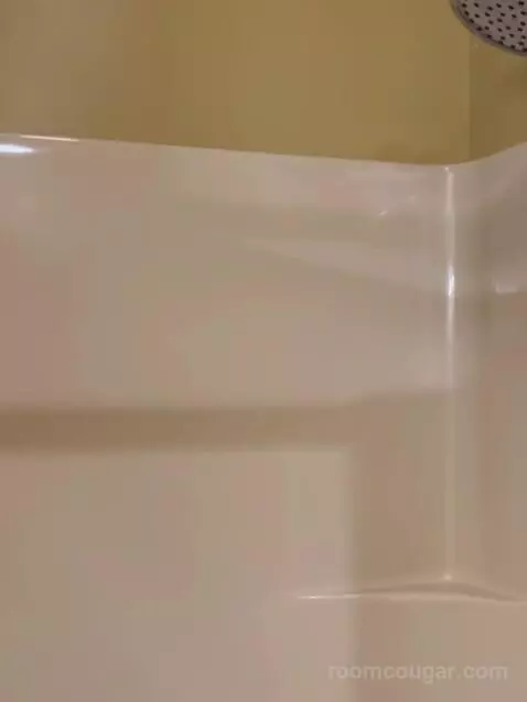 Deluxe Two-Bedroom Suite bathroom picture #4