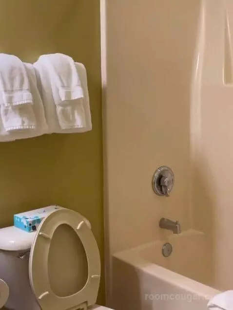 Deluxe Two-Bedroom Suite bathroom picture #7