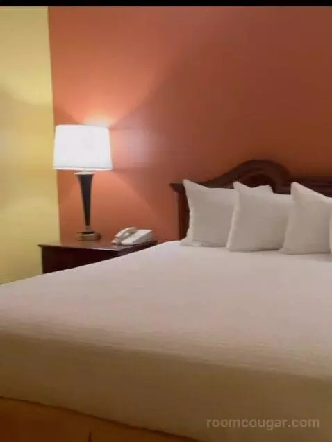Deluxe Two-Bedroom Suite bed picture #1