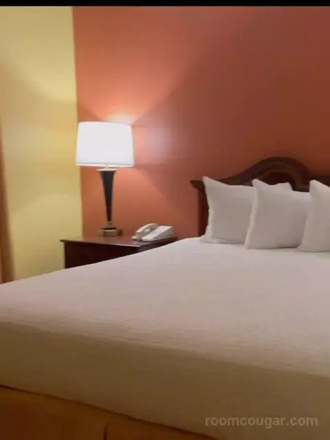 Deluxe Two-Bedroom Suite bed picture #2