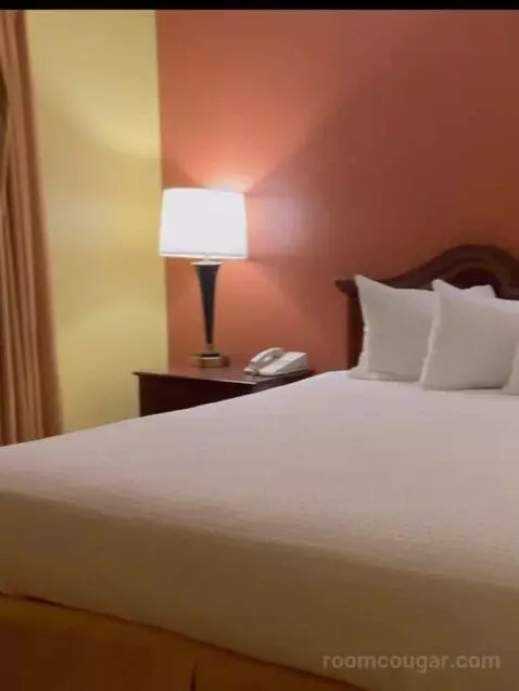 Deluxe Two-Bedroom Suite bed picture #3