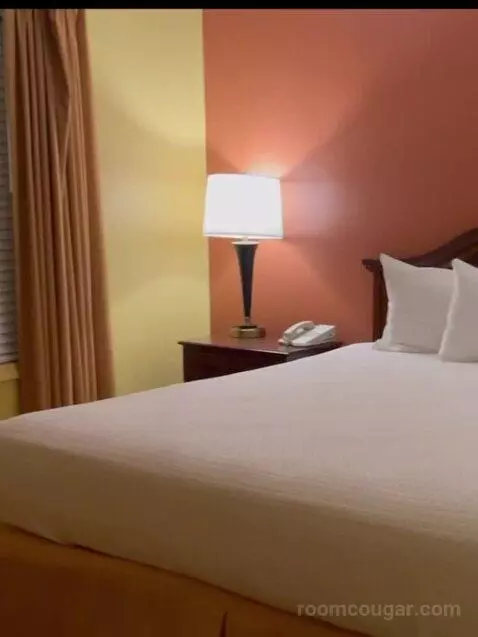 Deluxe Two-Bedroom Suite bed picture #5