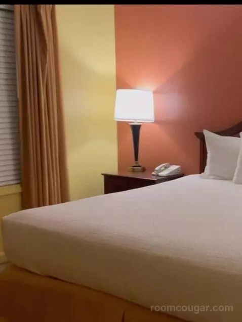 Deluxe Two-Bedroom Suite bed picture #6