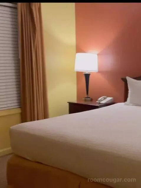 Deluxe Two-Bedroom Suite bed picture #7