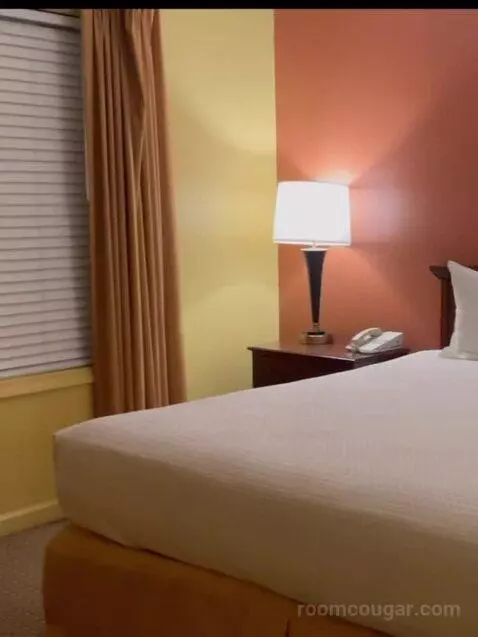 Deluxe Two-Bedroom Suite bed picture #8