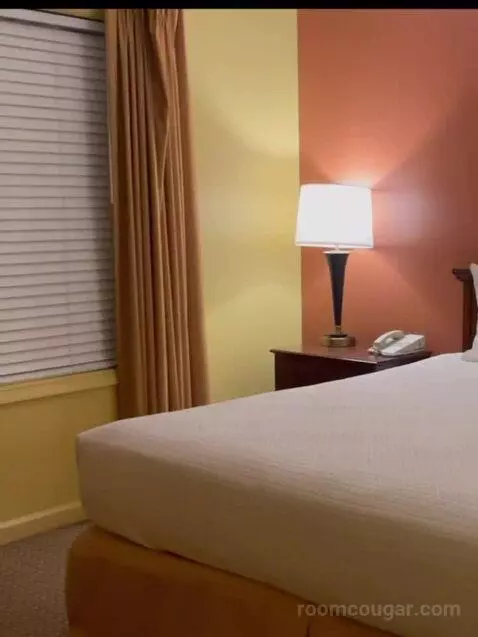 Deluxe Two-Bedroom Suite bed picture #9