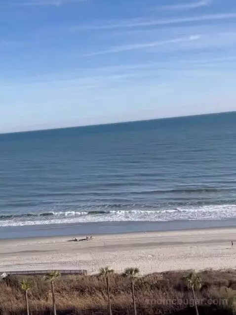 2 Bedroom Villa, Oceanfront, Balcony (#3092) view picture #11