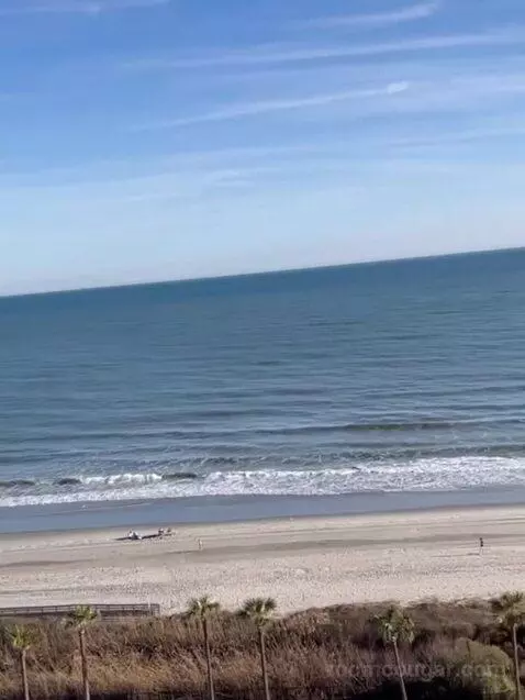 2 Bedroom Villa, Oceanfront, Balcony (#3092) view picture #12