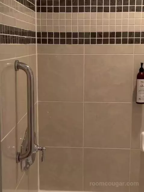 2 Bedroom Villa, Oceanfront, Balcony (#3092) bathroom picture #5