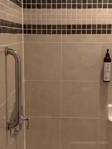 2 Bedroom Villa, Oceanfront, Balcony (#3092) bathroom picture #6