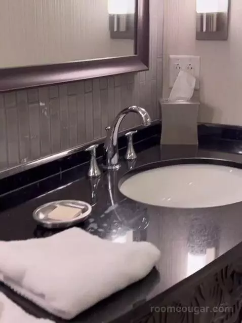 Sky Tower Two Deluxe Queen Beds bathroom picture #3