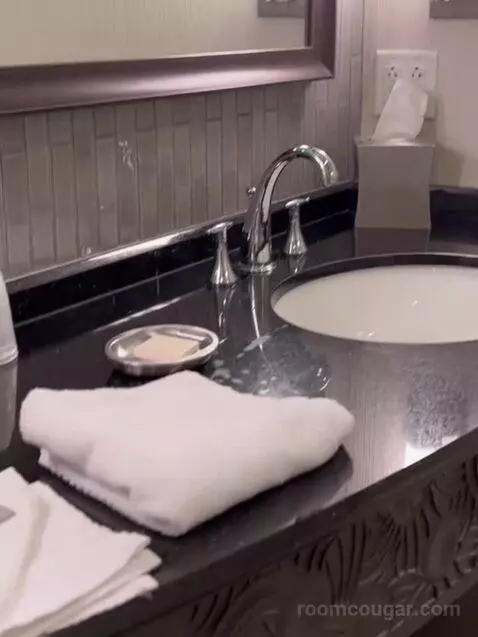 Sky Tower Two Deluxe Queen Beds bathroom picture #6