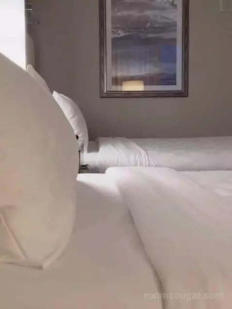Sky Tower Two Deluxe Queen Beds bed picture #9