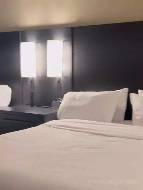 1 Bedroom Suite, 1 King, Sofa Bed bed picture #1